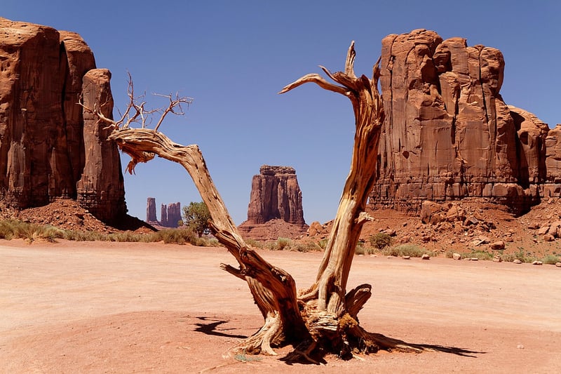 Wild West Landscape